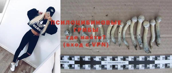 мдма Михайловск