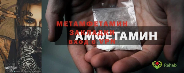крисы Мегион