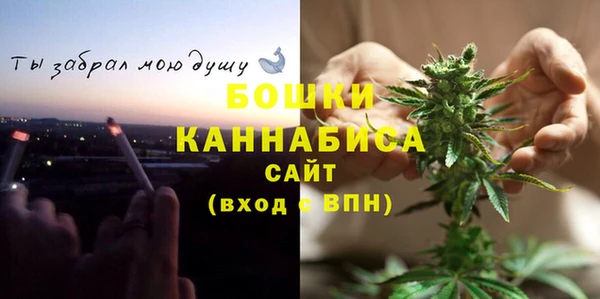крисы Мегион